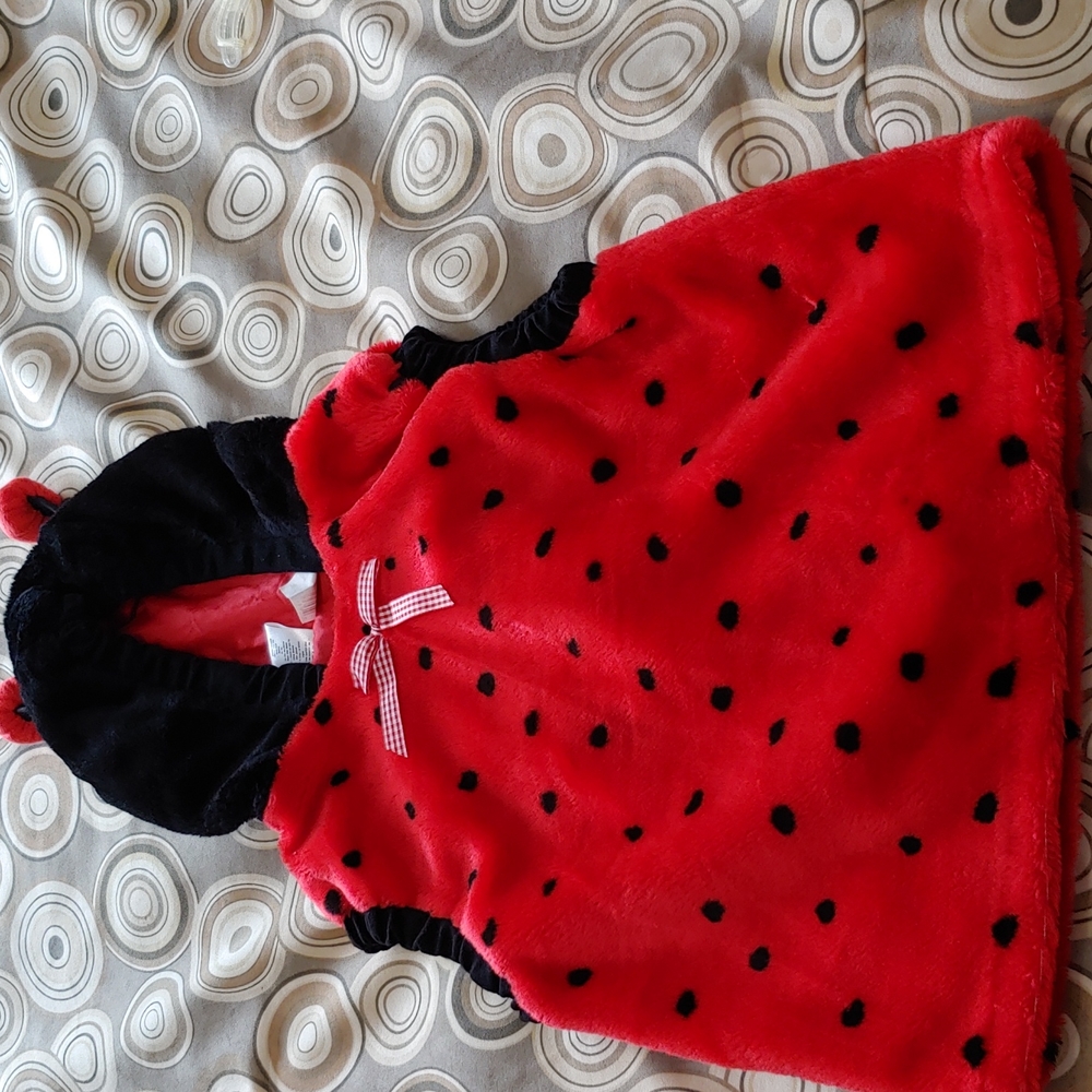 Halloween costume. Lady Bug.